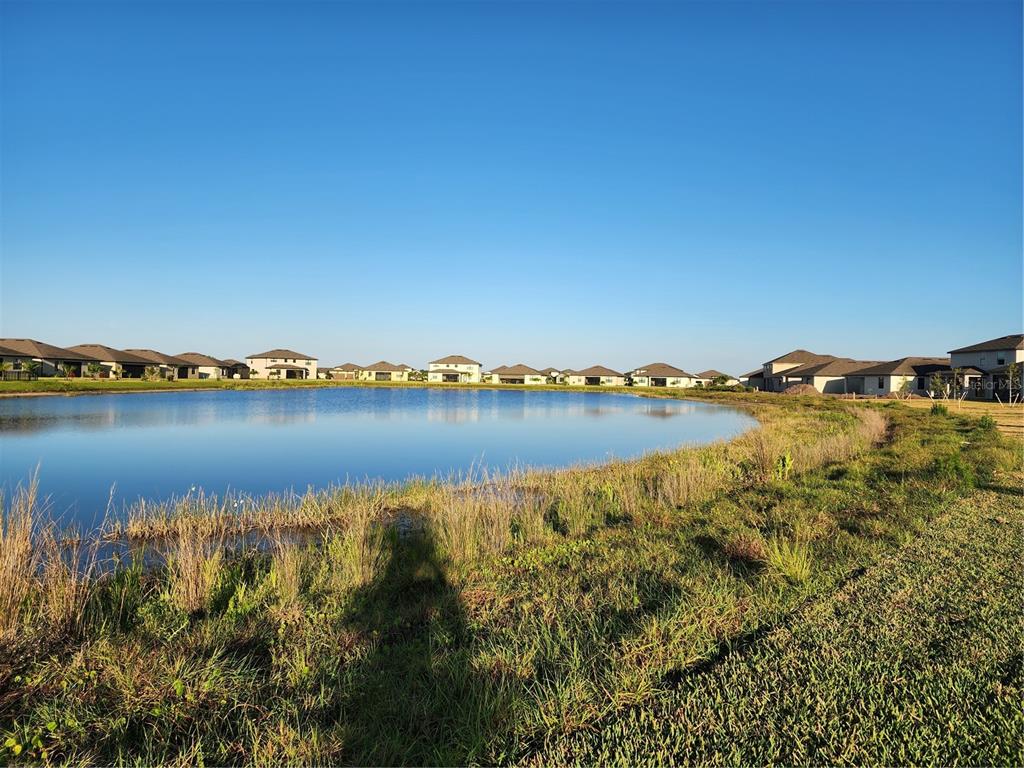 A view of a retention pond surrounded by suburban houses under a clear blue sky — 14632 PALAMOS CIRCLE, FORT MYERS, FL
