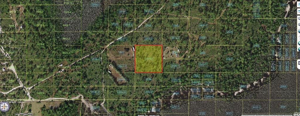 This aerial map shows a highlighted rectangular parcel of land surrounded by wooded terrain — HOLOPAW GROVES ROAD, ST CLOUD, FL