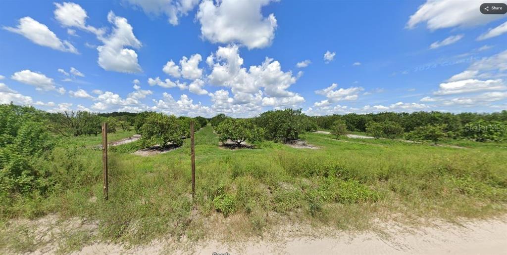 A view of a citrus grove with rows of trees behind a wooden fence — HOLOPAW GROVES ROAD, ST CLOUD, FL