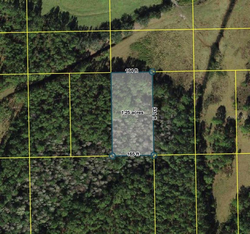 An aerial map view shows a rectangular 1.25-acre plot of wooded land with boundary dimensions — POLK CITY, POLK CITY, FL