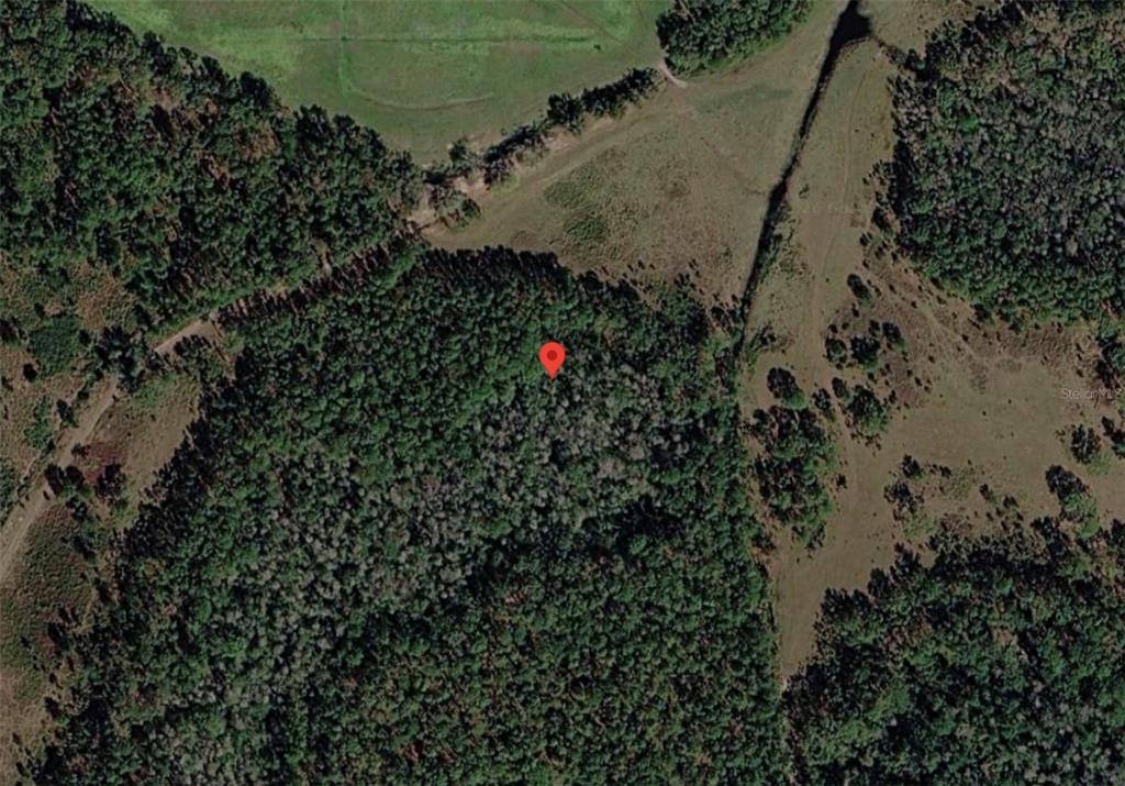 This is an aerial map view of a wooded lot marked with a red pin — POLK CITY, POLK CITY, FL