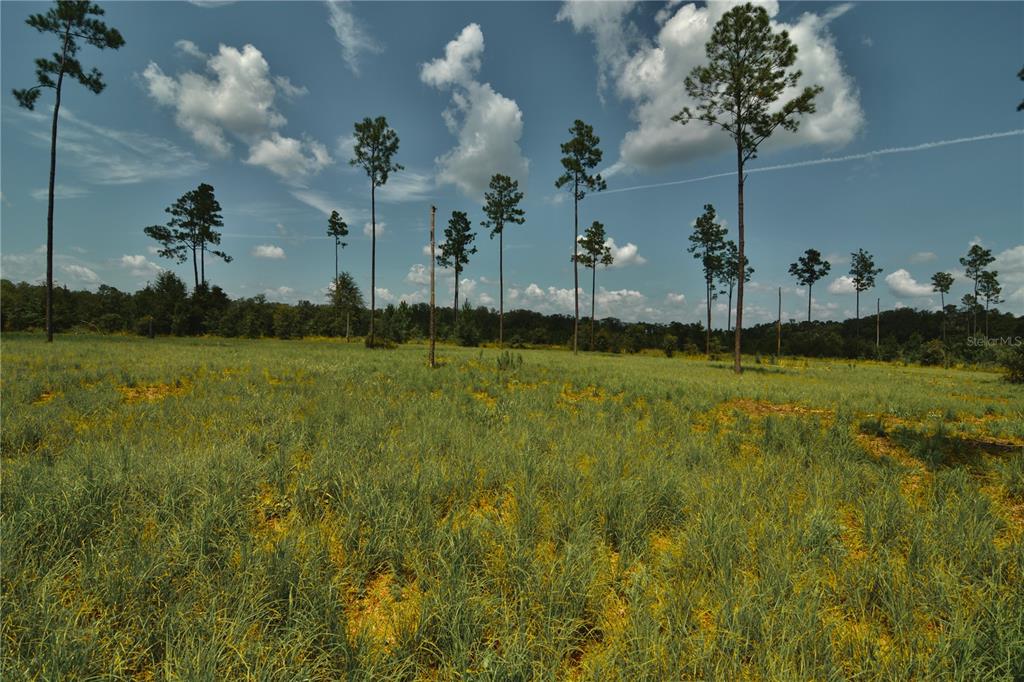 00 99TH LANE, LIVE OAK, FL — photo 2 of 30