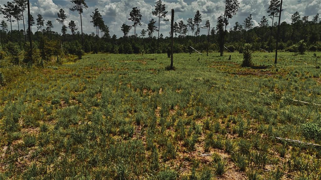 00 99TH LANE, LIVE OAK, FL — photo 3 of 30