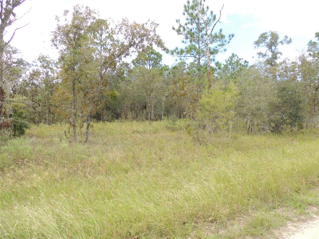 690 NE 135TH COURT, WILLISTON, FL — photo 3 of 6