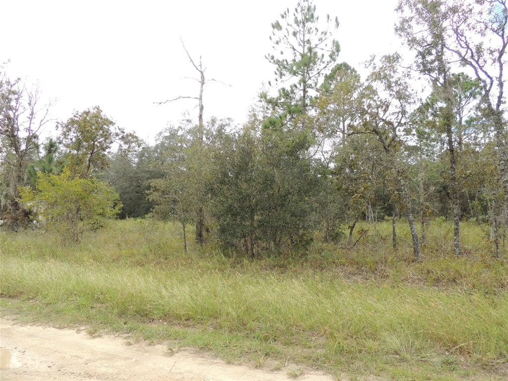 690 NE 135TH COURT, WILLISTON, FL — photo 4 of 6