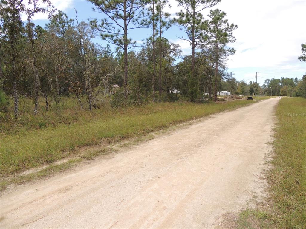 690 NE 135TH COURT, WILLISTON, FL — photo 5 of 6