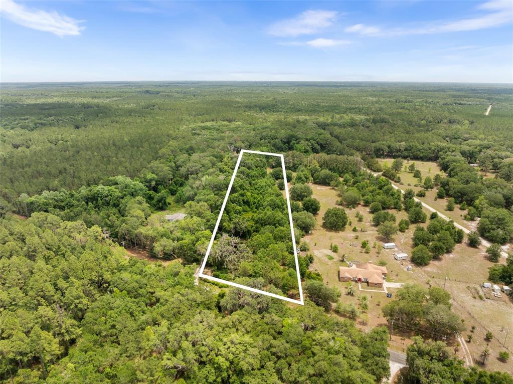 An aerial view shows a wooded plot of land outlined in white near residential houses — 2919 SE COUNTY ROAD 234, GAINESVILLE, FL