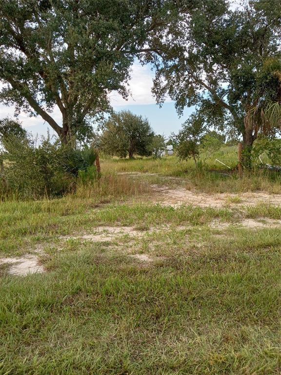 A dirt path leads through a grassy field framed by large trees under a blue sky — 17925 NW 316th Street, Okeechobee FL 34972, OKEECHOBEE, FL