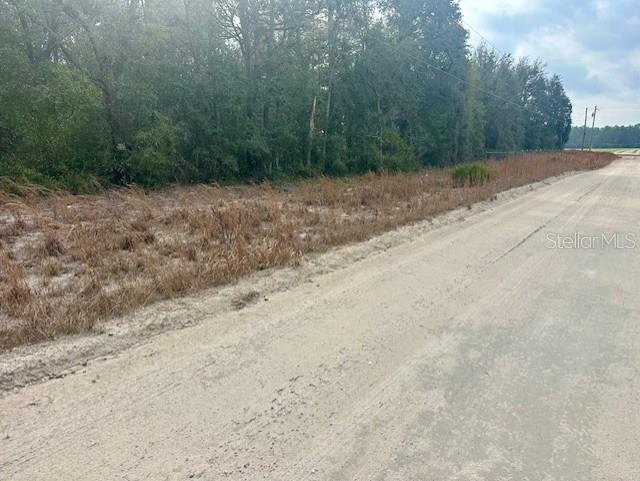 NW 11TH AVENUE, BELL, FL — photo 2 of 12