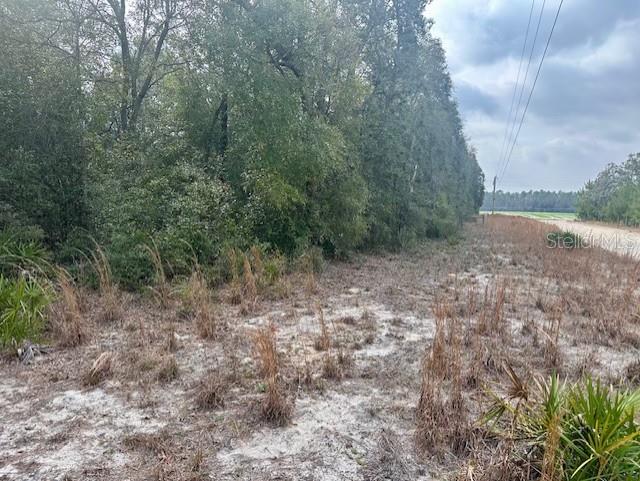 NW 11TH AVENUE, BELL, FL — photo 4 of 12