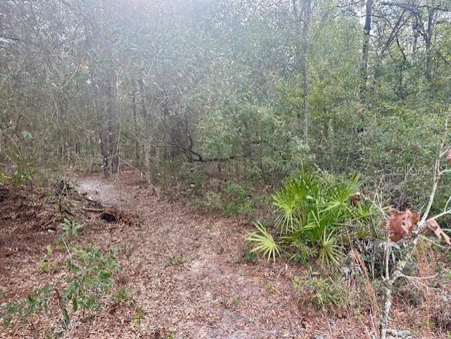 NW 11TH AVENUE, BELL, FL — photo 5 of 12