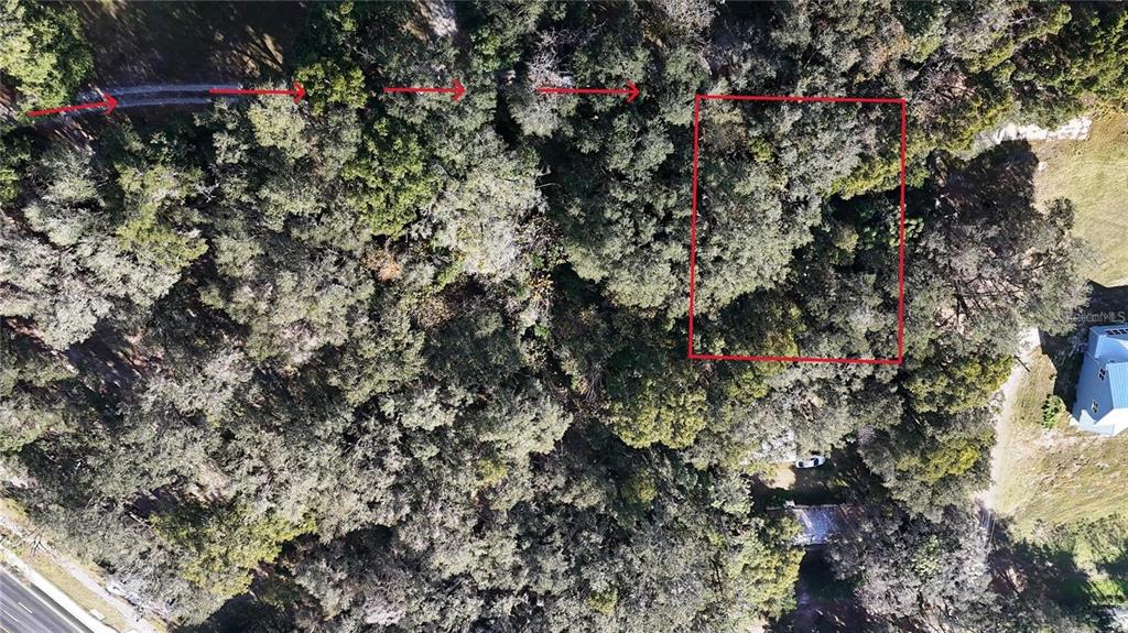 An aerial view shows a wooded lot with a red rectangle highlighting a specific area — ORANGE STREET, LADY LAKE, FL