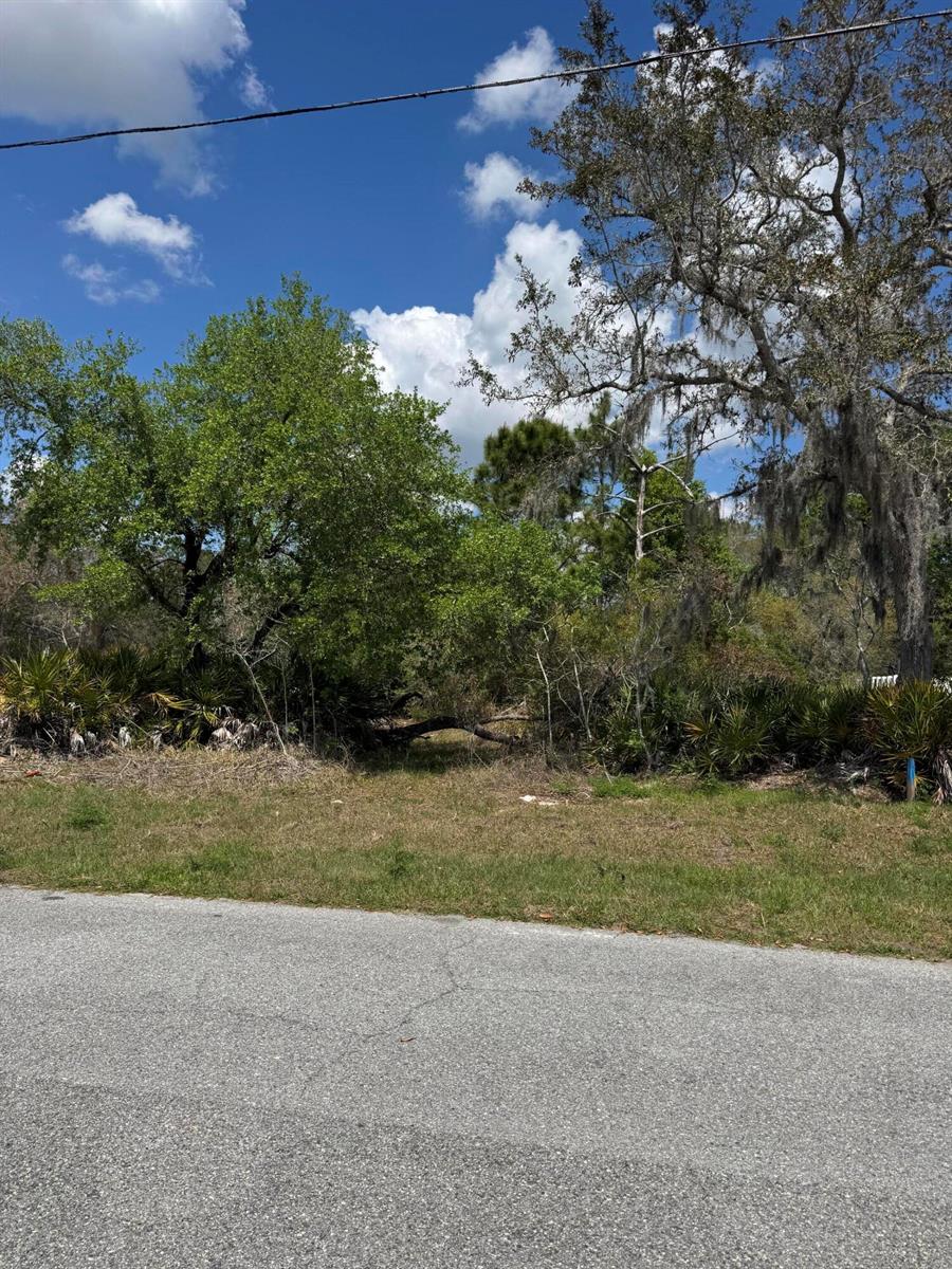 A vacant, wooded lot with native vegetation sits behind a paved road under a blue sky — 1625 Pickerel Court, FL 34759, FL