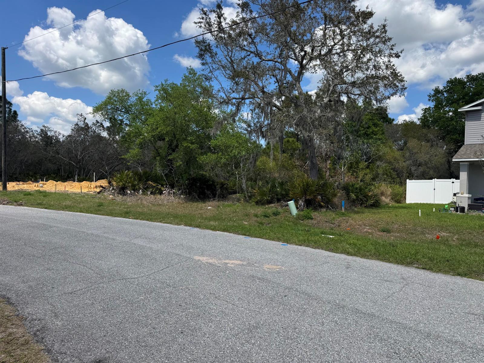 A vacant, wooded residential lot sits next to a house under construction and a finished home — 1625 Pickerel Court, FL 34759, FL