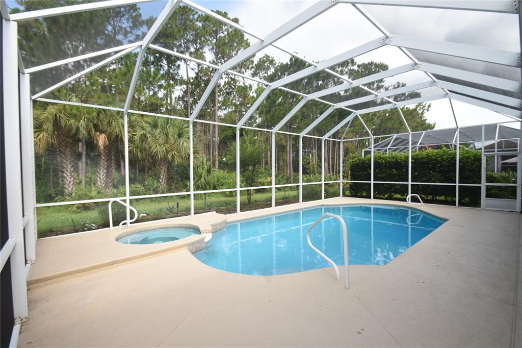 A screened-in swimming pool and spa area with a concrete deck and wooded backyard view — 1216 HAMPSTEAD LANE, ORMOND BEACH, FL