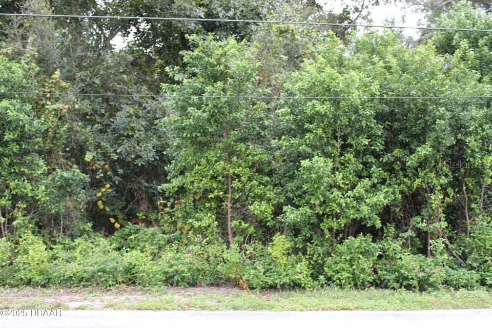 510 FRED GAMBLE WAY, ORMOND BEACH, FL — photo 2 of 4