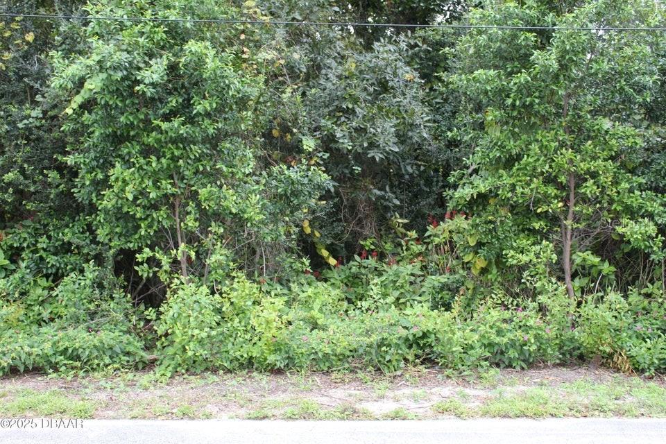 510 FRED GAMBLE WAY, ORMOND BEACH, FL — photo 3 of 4