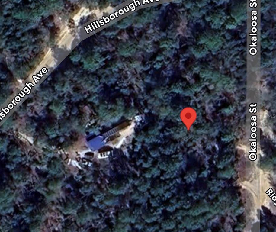 This is a satellite map view showing a wooded lot with a house and a red pin — 903 OKALOOSA STREET, FLORAHOME, FL