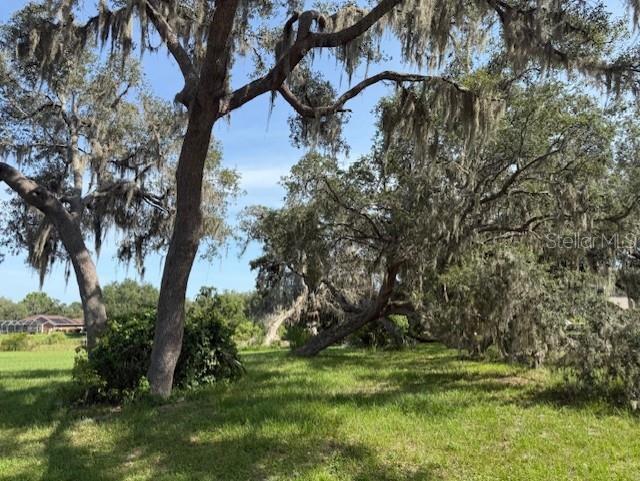Large oak trees with Spanish moss stand in a grassy field under a blue sky — 2550 S BALI POINT, INVERNESS, FL