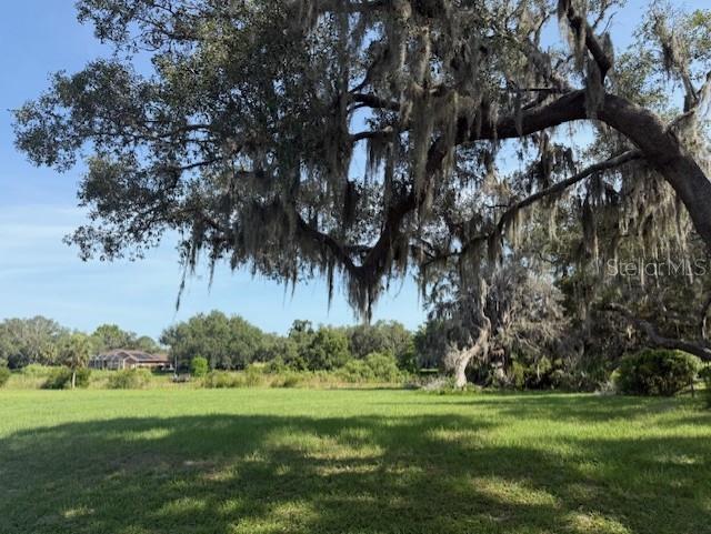 A large oak tree with Spanish moss stands over a grassy field with distant houses — 2550 S BALI POINT, INVERNESS, FL