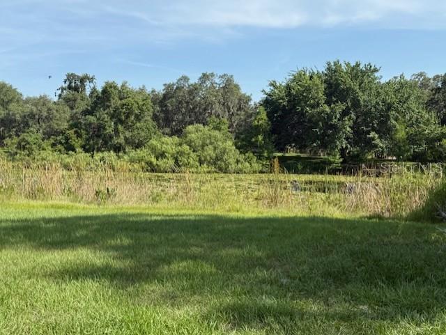 A grassy lawn overlooks a pond surrounded by tall grasses and a line of trees — 2550 S BALI POINT, INVERNESS, FL