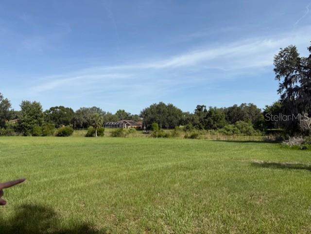 A wide, grassy field stretches toward a line of trees and a distant house — 2550 S BALI POINT, INVERNESS, FL