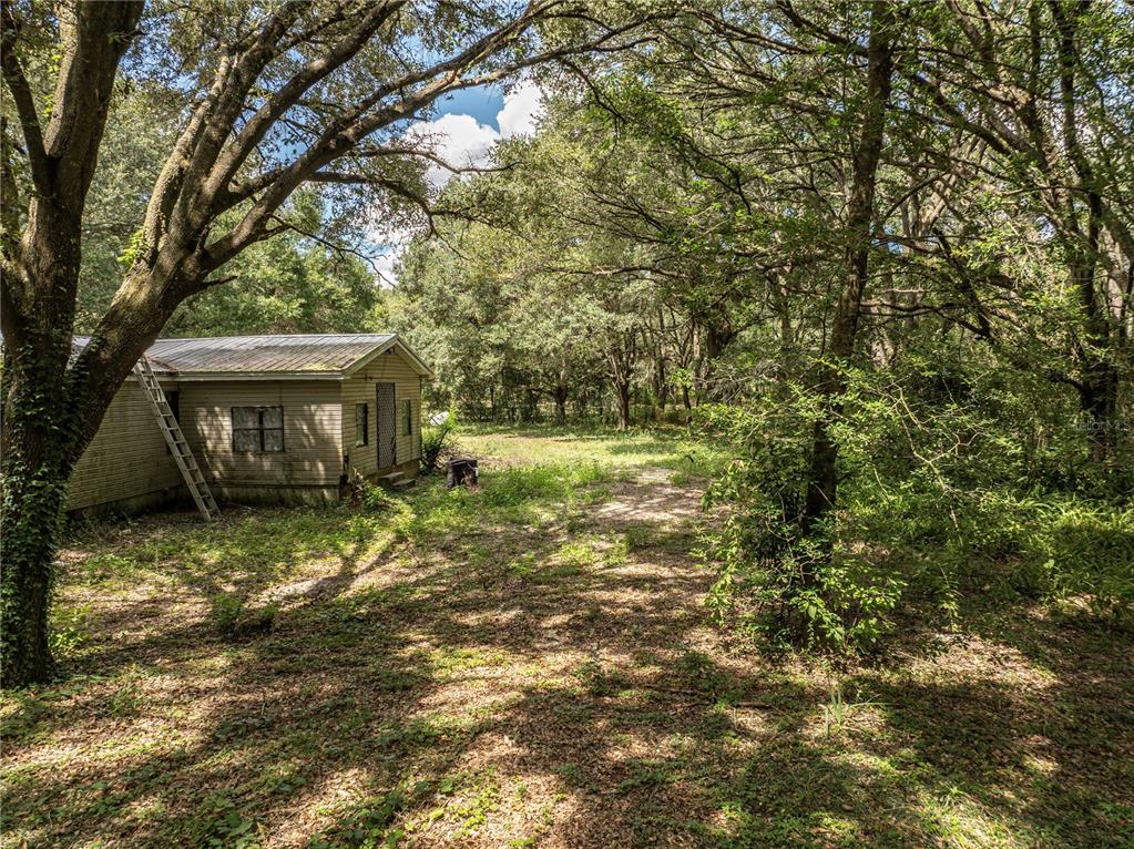 A small, weathered house sits in a wooded lot with a ladder leaning against it — 2946 SE 21ST AVENUE, SUMTERVILLE, FL