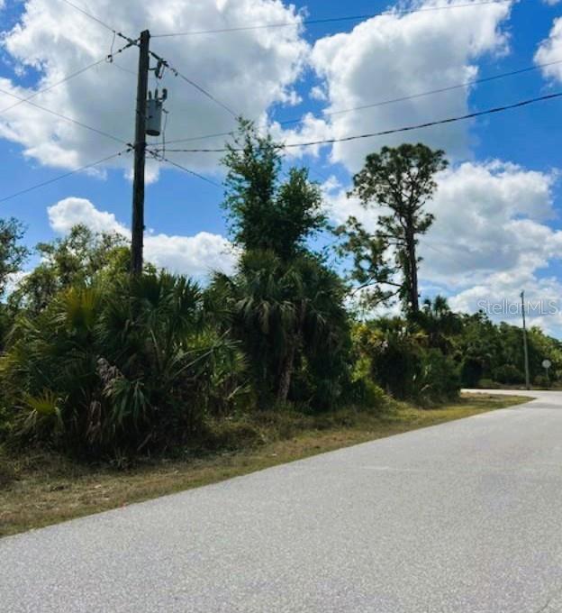 A paved road curves in front of a wooded lot with various trees and shrubs — 17128 WINTERGARDEN AVENUE, PORT CHARLOTTE, FL