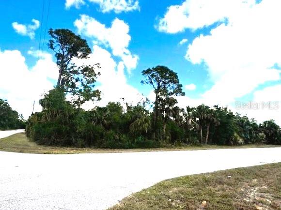 A paved road runs in front of a vacant, wooded lot with pine and palm trees — 17128 WINTERGARDEN AVENUE, PORT CHARLOTTE, FL