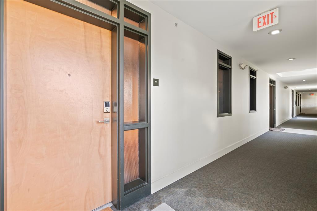 A wooden apartment door with a side window sits in a carpeted hallway — 1501 DOYLE CARLTON DRIVE UNIT 411, TAMPA, FL