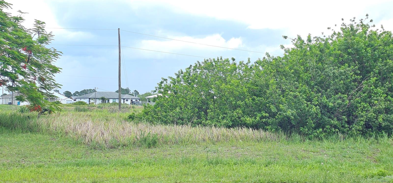 A grassy, undeveloped lot features a large bush and a utility pole under a cloudy sky — 9008 Abel Court, FL 33935, FL