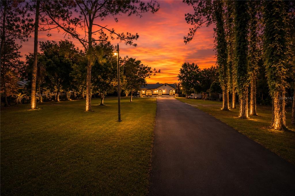 A paved driveway leads to a house at sunset, framed by trees and a wooden fence — 3346 TARRAGON STREET, COCOA, FL