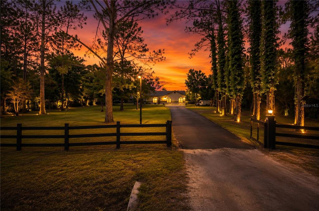 A paved driveway leads to a house at sunset, framed by illuminated trees on both sides — 3346 TARRAGON STREET, COCOA, FL