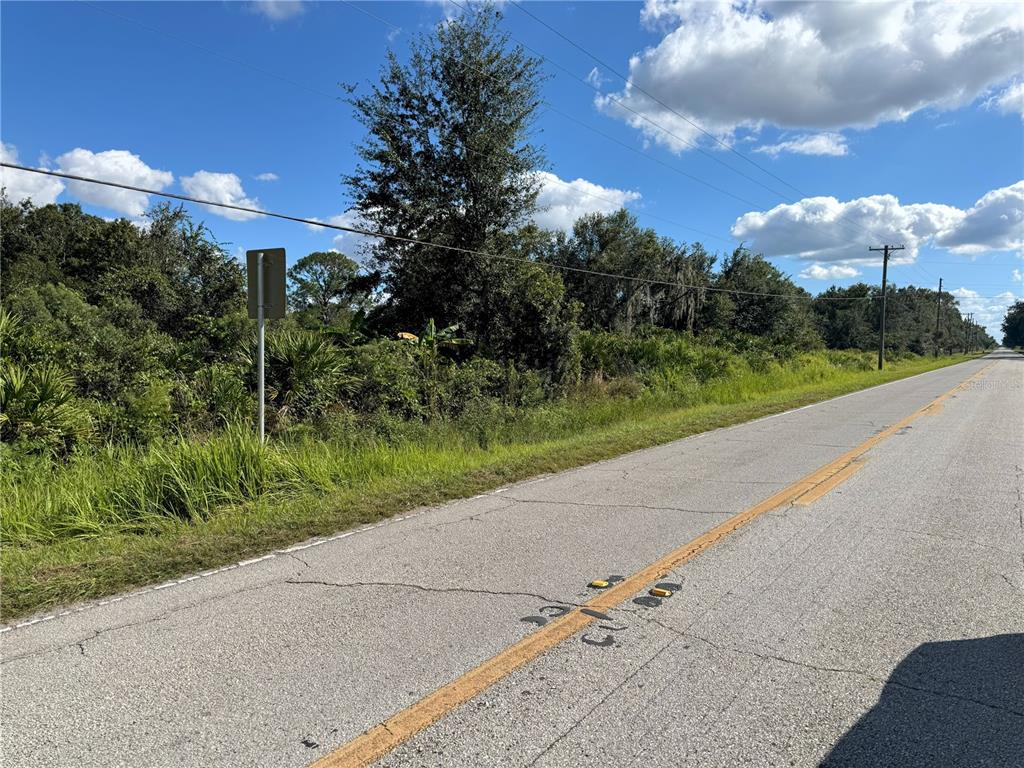 A paved road runs alongside a vacant, overgrown lot with trees and a utility pole — 0 ALTURAS BABSON PARK CUT OFF ROAD, BARTOW, FL