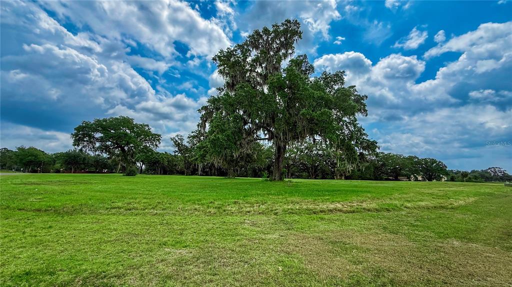A large, moss-draped oak tree stands in the center of a grassy, open field — NW 17TH CIRCLE, OCALA, FL