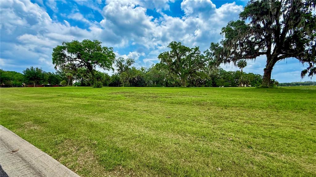 A large, grassy vacant lot features several mature oak trees under a cloudy sky — NW 17TH CIRCLE, OCALA, FL