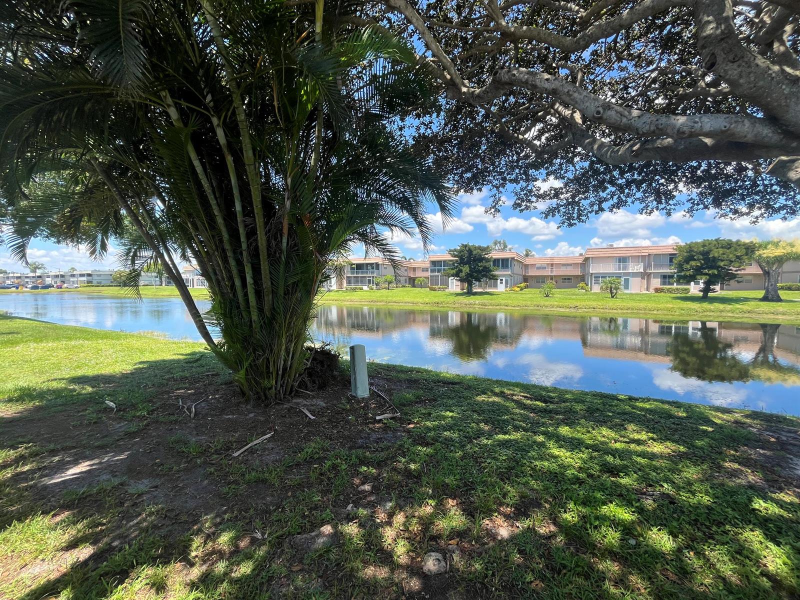 A palm tree stands near a pond with apartment buildings in the background — 210 Valencia I, Delray Beach FL 33446, DELRAY BEACH, FL