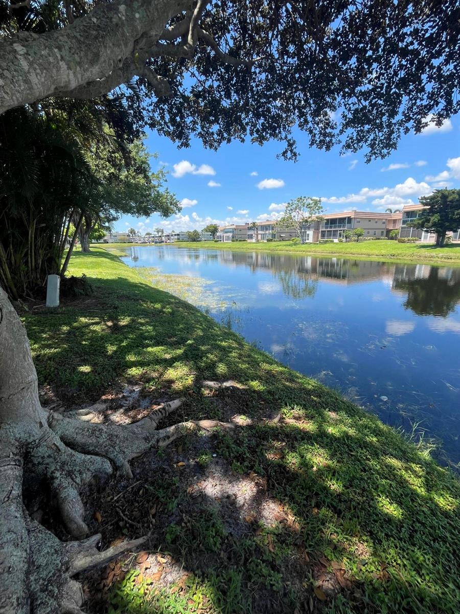 A view of a calm canal bordered by grassy banks and residential apartment buildings — 210 Valencia I, Delray Beach FL 33446, DELRAY BEACH, FL