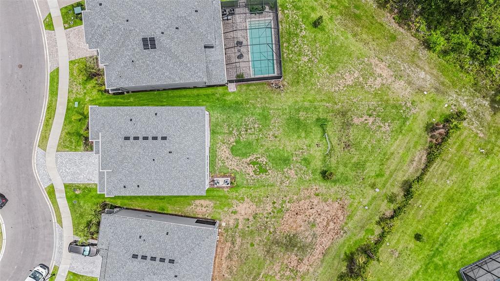 An aerial view shows three suburban houses with backyards and a swimming pool enclosure — 3541 GREAT BANYAN WAY, WESLEY CHAPEL, FL