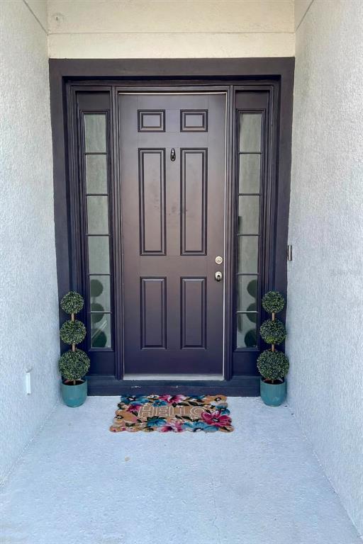 A dark brown front door with side windows and two topiary plants on a porch — 3458 AUTUMN AMBER DR, SPRING HILL, FL