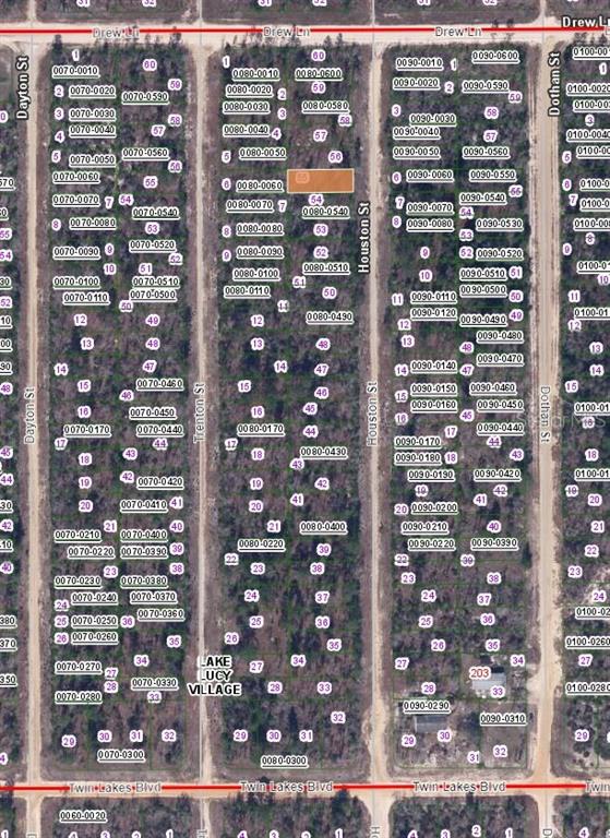 00 HOUSTON STREET, INTERLACHEN, FL — photo 2 of 3