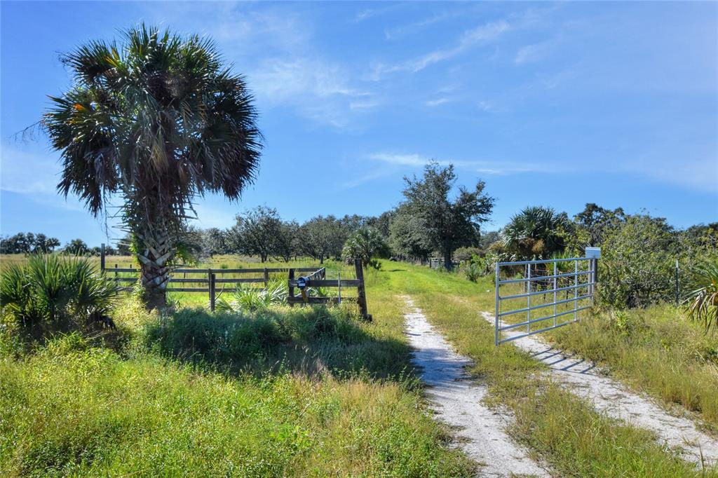 A dirt driveway leads through an open metal gate into a grassy, tree-lined rural property — 46891 FARABEE ROAD, PUNTA GORDA, FL