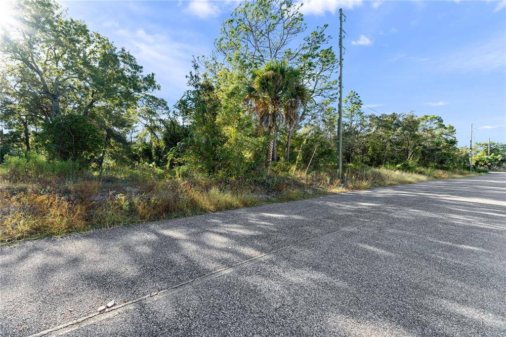 3560 DIAGONAL LANE, SPRING HILL, FL — photo 3 of 13
