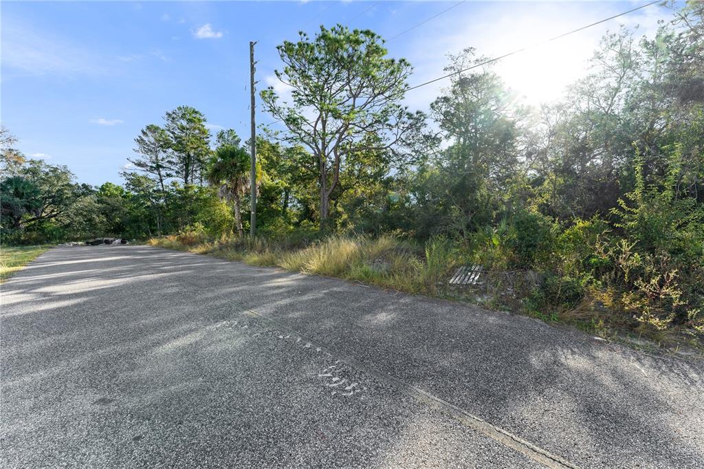 3560 DIAGONAL LANE, SPRING HILL, FL — photo 4 of 13