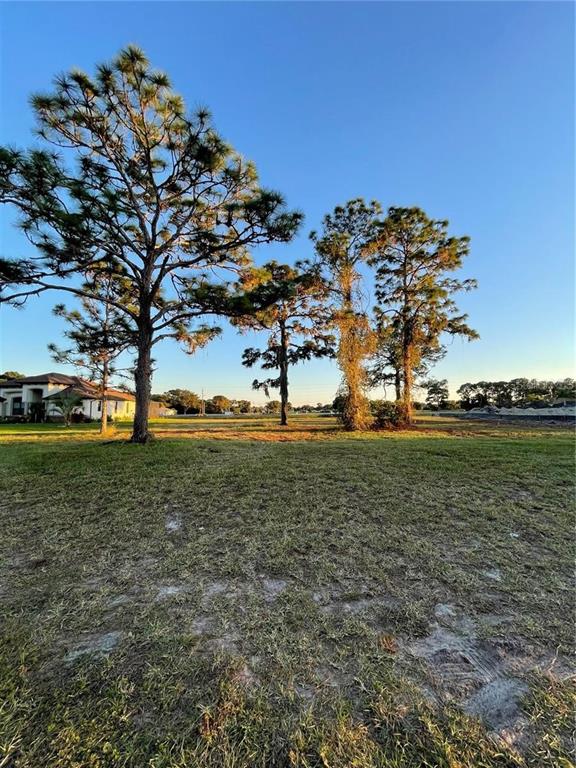A grassy vacant lot features several tall pine trees under a clear blue sky — 470 & 472 BOUNDARY BOULEVARD, ROTONDA WEST, FL