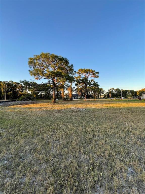 A large, grassy vacant lot features several tall pine trees under a clear blue sky — 470 & 472 BOUNDARY BOULEVARD, ROTONDA WEST, FL