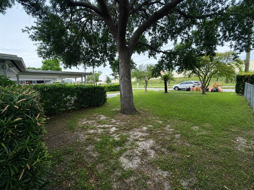A large tree stands in a grassy yard next to a house with a carport — 4314 W CARMEN STREET, TAMPA, FL