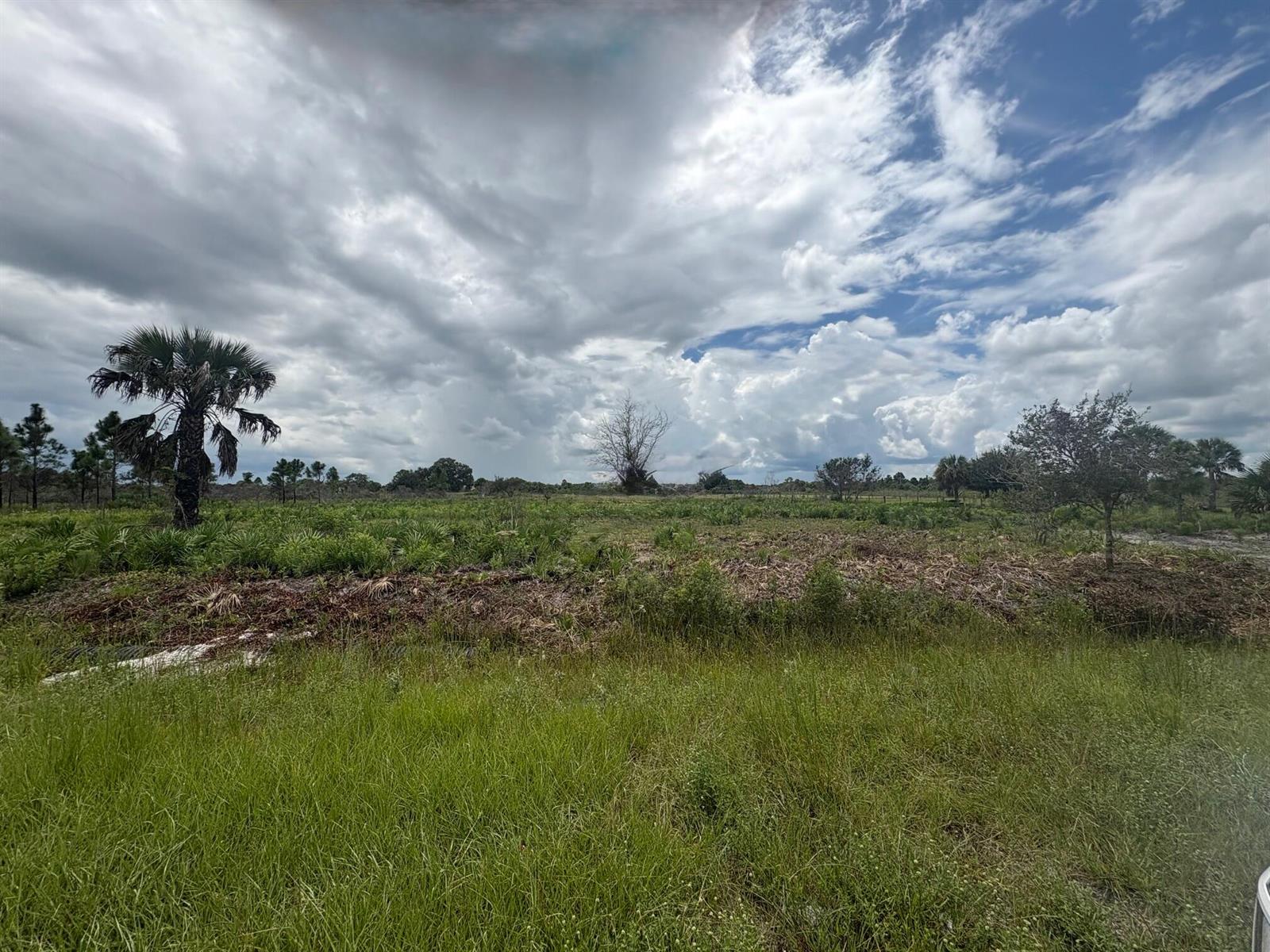 A grassy, undeveloped lot features scattered palm trees and shrubs under a cloudy blue sky — 17982 NW 318th Street, Okeechobee FL 34972, OKEECHOBEE, FL