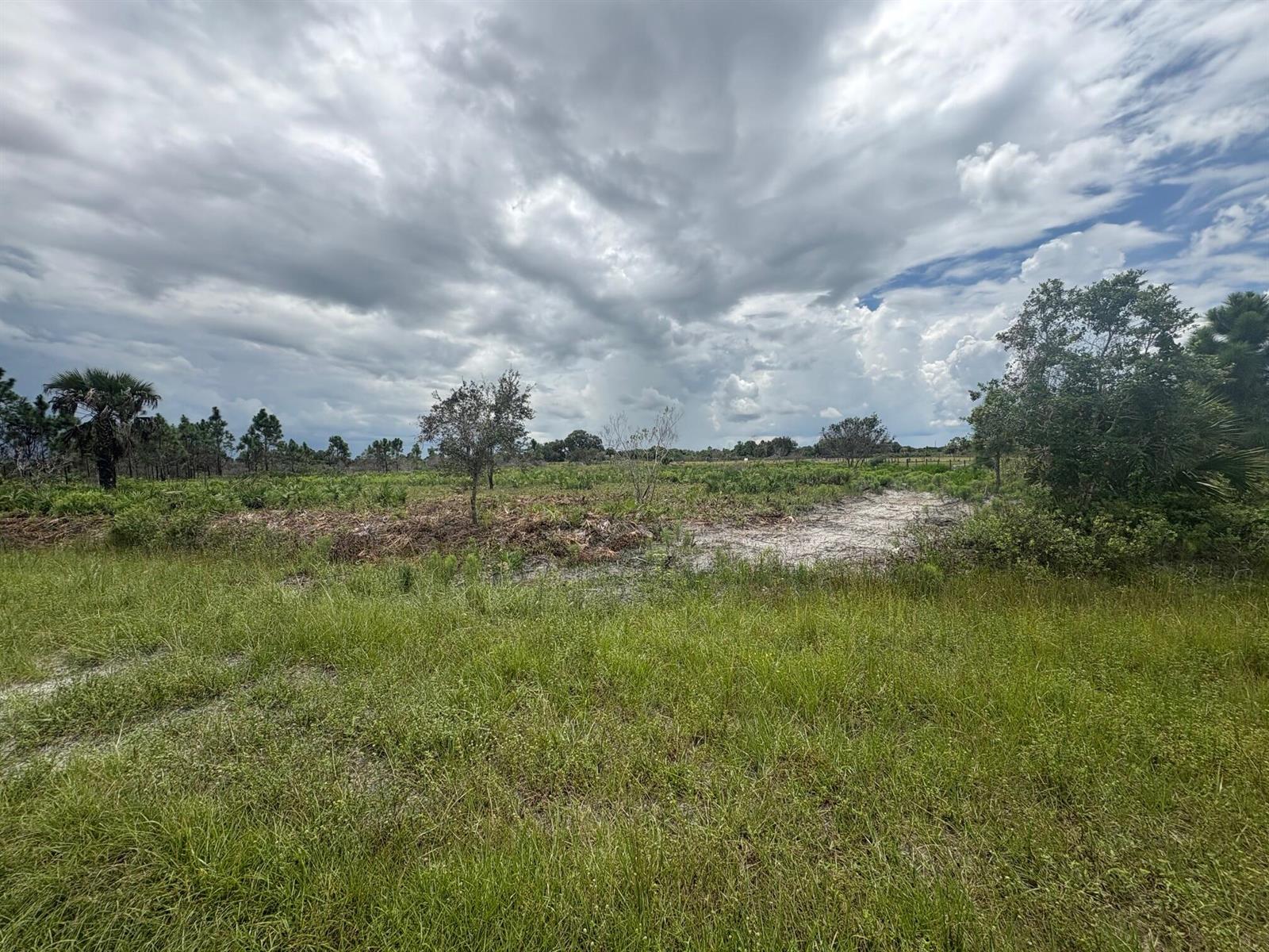 A grassy, partially cleared field with scattered trees under a cloudy sky — 17982 NW 318th Street, Okeechobee FL 34972, OKEECHOBEE, FL