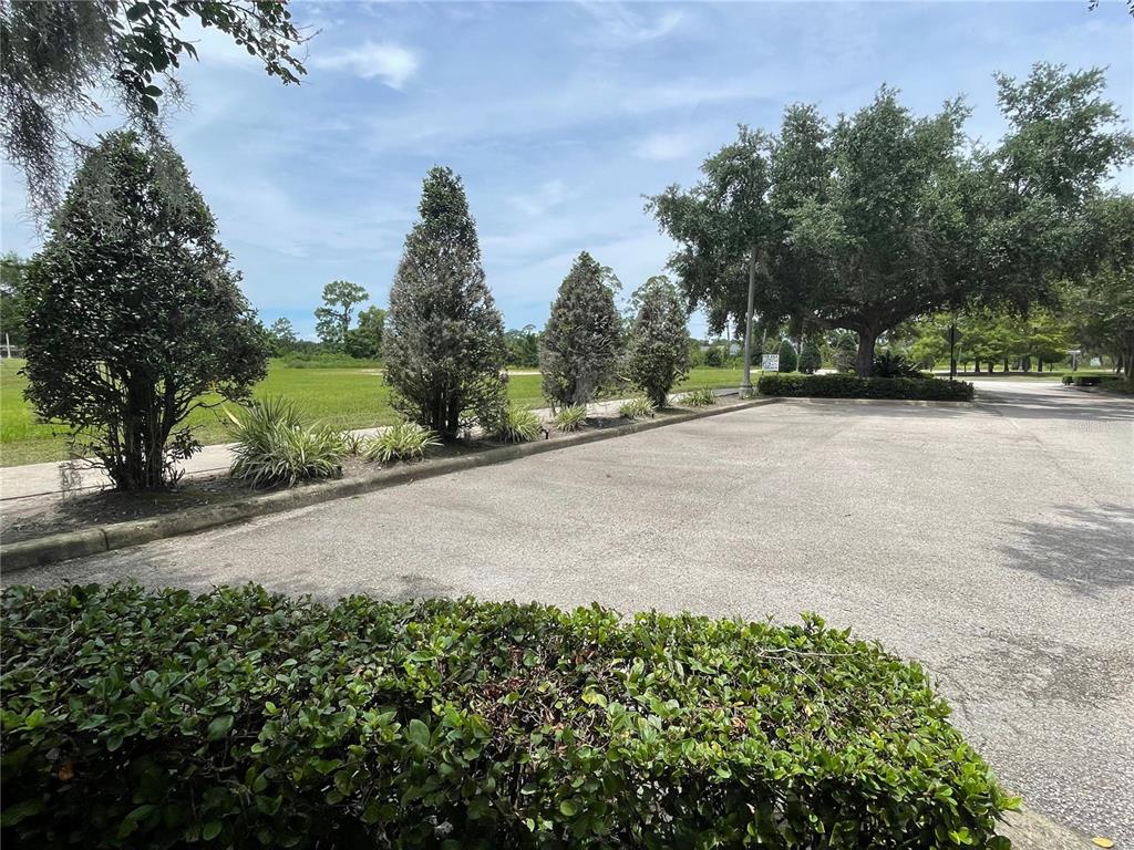 A paved parking area is bordered by a row of trees and a green hedge — Parcel 2 - 607 OVIEDO BLVD, OVIEDO, FL